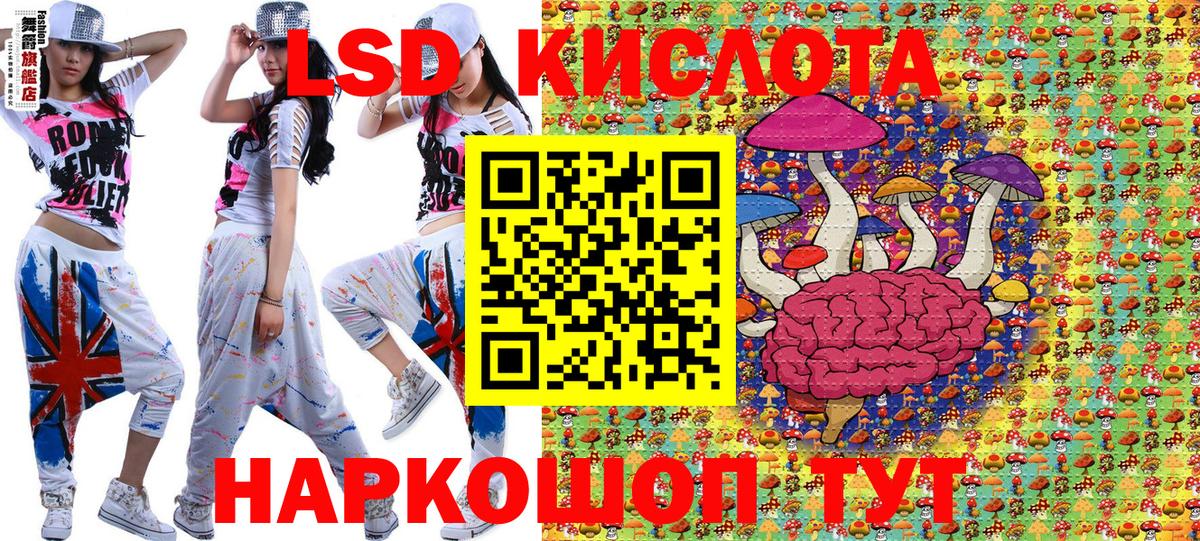 Псилоцибиновые грибы Лосино-Петровский