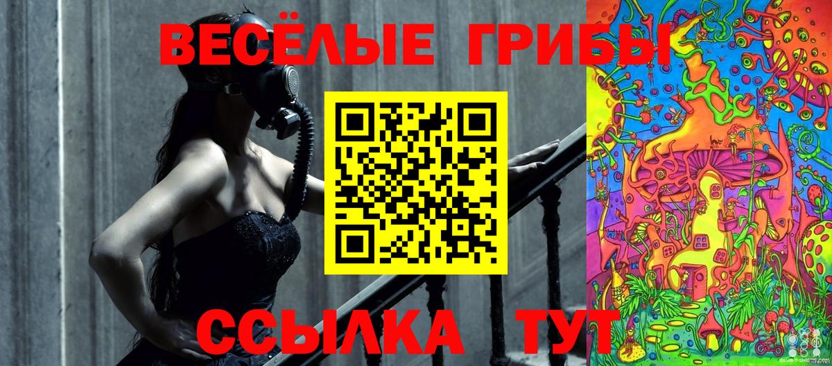 Псилоцибиновые грибы GOLDEN TEACHER Лосино-Петровский